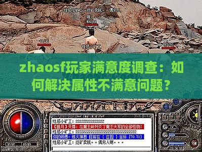 zhaosf玩家满意度调查：如何解决属性不满意问题？